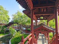 -百脉泉景区