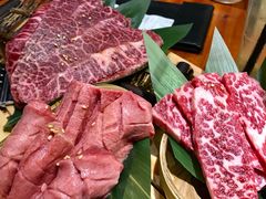 -肉魁屋·烧肉·烧鸟·酒场(高新店)