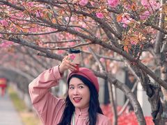 -高东镇樱花园