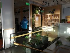 -嘉和一品粥(方庄店)