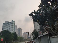 -上海市徐汇区口腔医院