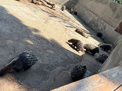 -昆明动物园