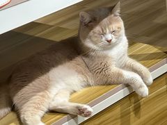 -听TA说宠咖·宠物生活馆(天韵水岸店)