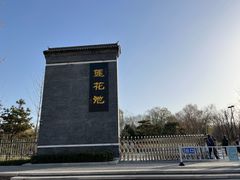 -莲花池公园