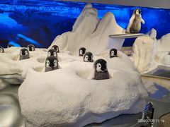 -武汉杜莎夫人蜡像馆