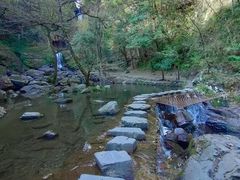 -石台牯牛降景区