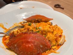 -连鹭海鲜·海肠捞饭·海胆饭(星海店)