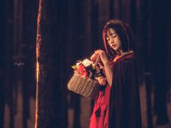 -铁山坪森林公园