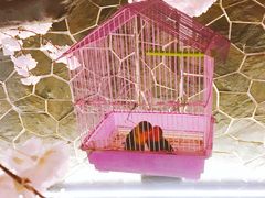 -蓝鲸湾汤泉(包河店)