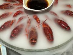 -红盔甲·小龙虾(长寿路店)