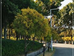 -紫马岭公园