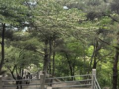 -崂山仰口游览区