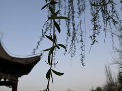 -金城公园