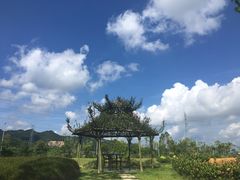 -美的鹭湖森林度假区
