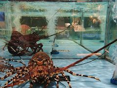-阿伟海鲜楼·福建菜(延寿店)