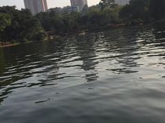 -晓港公园
