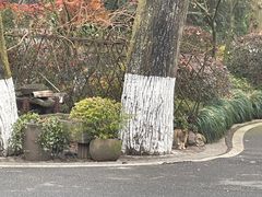 -杭州雅谷泉山庄酒店-餐厅