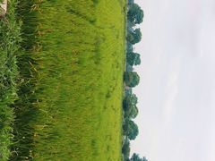 -嘉北郊野公园