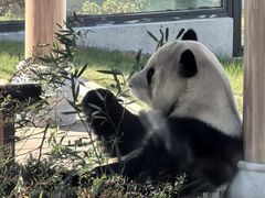 -无锡动物园·太湖欢乐园