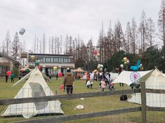 -前小桔亲子创意农场·草莓采摘·露营烧烤