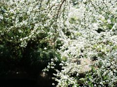 -中国茶叶博物馆(双峰馆区)