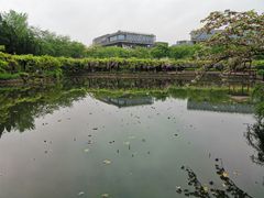-嘉定紫藤园