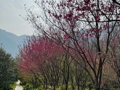 -福清灵石山国家森林公园