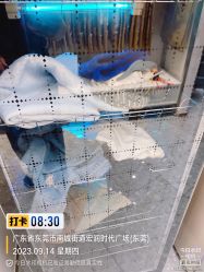 -小木马儿童摄影