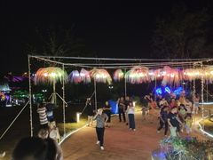 -大塘金香草谷