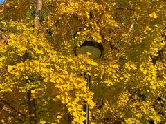 -苏州河梦清园环保主题公园