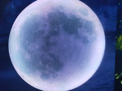 -天津梵高星空艺术馆(天河城旗舰店)