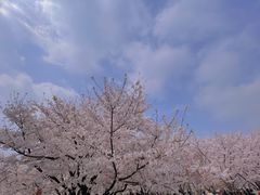 -龙美术馆(西岸馆)