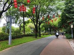 -顺峰山公园