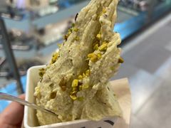 -野人先生现做冰淇淋(西安赛格店)