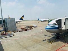 -上海浦东国际机场-T2航站楼