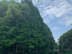 -乌镇东栅景区