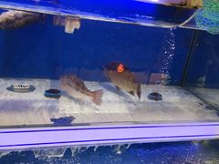-世纪联华(杭州新塘路店)