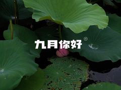 -范蠡湖公园