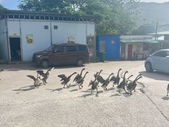 -红旗山庄(圭峰山店)