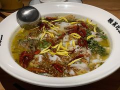 -太二酸菜鱼(汕头苏宁广场店)