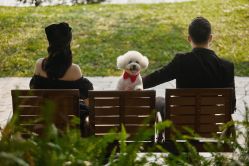 -花漾摄影优选工作室(东莞原创作品店)