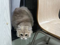 -美美宠物诊疗中心·异宠·骨科(滨江东信分院)