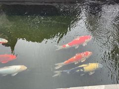 -西安市广仁寺