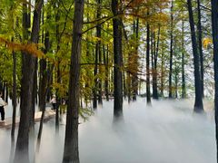 -东湖落雁景区
