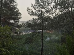 -午潮山国家森林公园