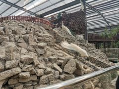 -呀路古热带植物园