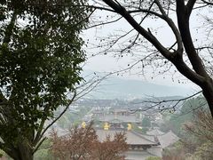 -庐山风景名胜区-东林大佛