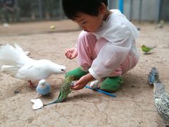 -北京呀路古热带植物园