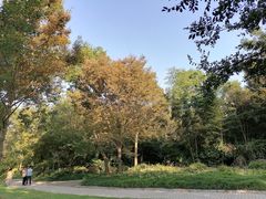 -上海海湾国家森林公园