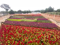 -昆明春城湖畔度假村